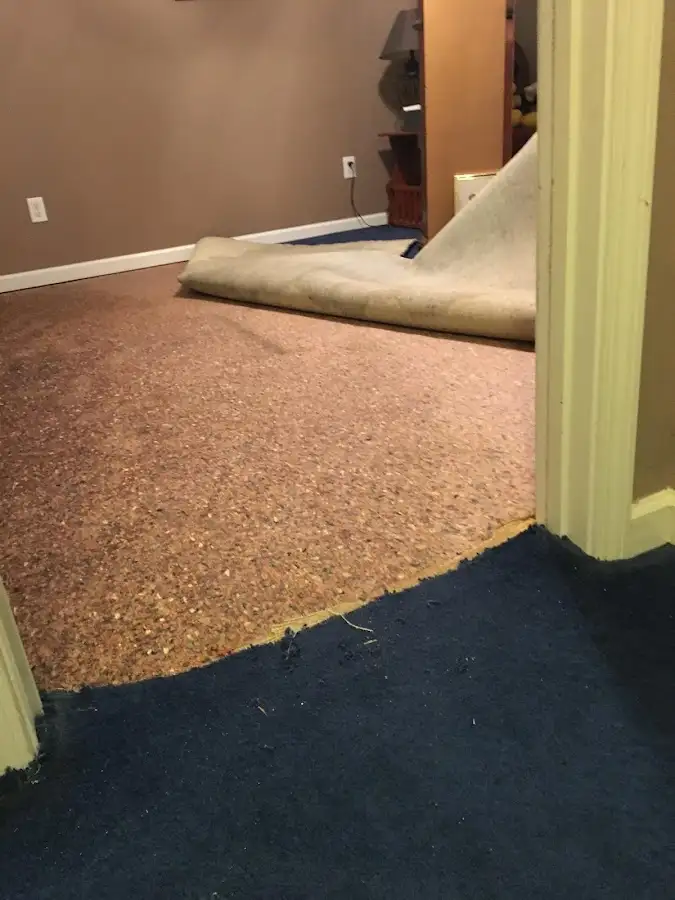 Carpet pad removal revealing water damage during Drying & Dehumidification in Port Sheldon