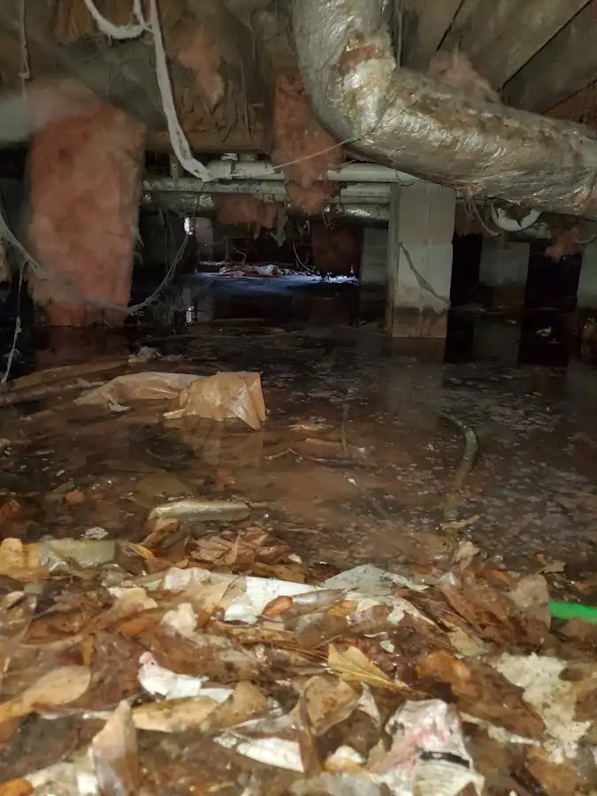 Crawl space flood assessment for Commercial Water Damage Restoration in Port Sheldon